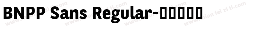 BNPP Sans Regular字体转换